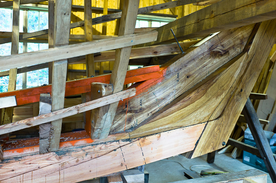 TX_12_09_L1053166_W.jpg - 11. Sügis 2012. Foto Toomas Kokovkin